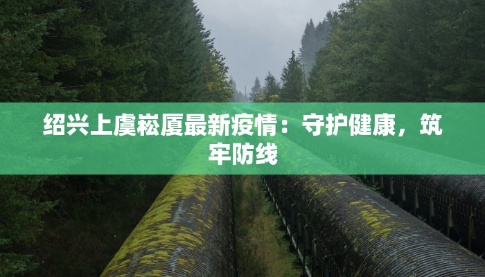 聊城最新疫情：科学防控，共筑健康屏障