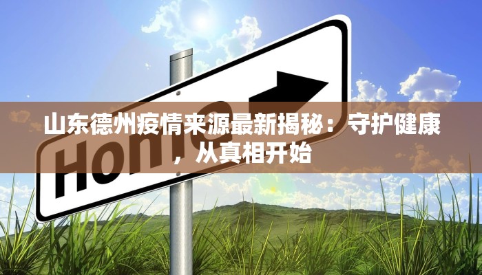 山东德州疫情来源最新揭秘：守护健康，从真相开始