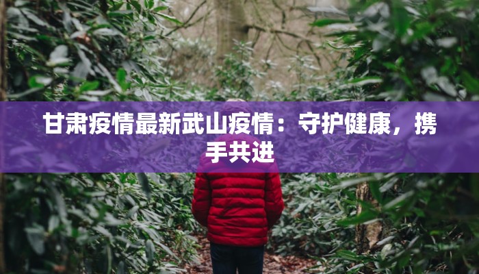 甘肃疫情最新武山疫情：守护健康，携手共进