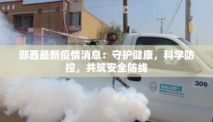 郧西最新疫情消息：守护健康，科学防控，共筑安全防线