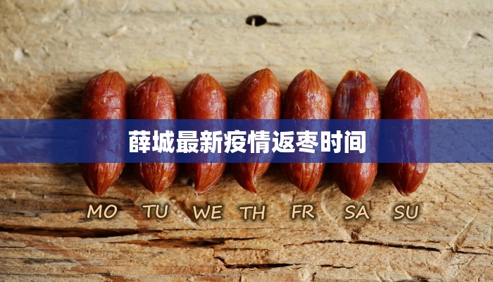 薛城最新疫情返枣时间