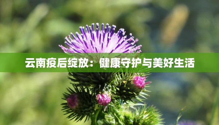 仙都疫情最新通报