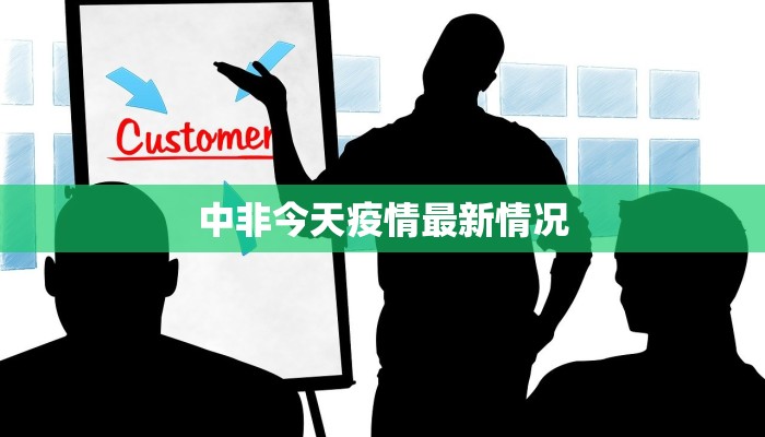 中非今天疫情最新情况