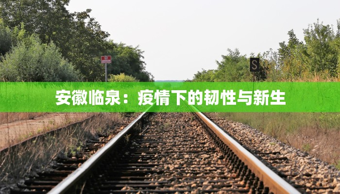 安徽临泉：疫情下的韧性与新生