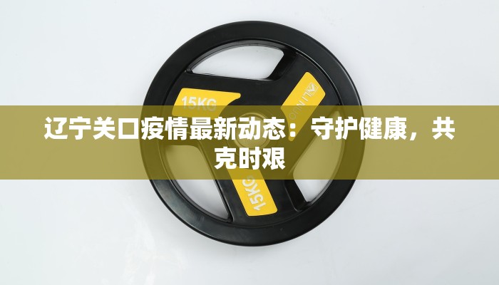 辽宁关口疫情最新动态:守护健康,共克时艰 辽宁关口疫情最新动态:守护健康,共克时艰