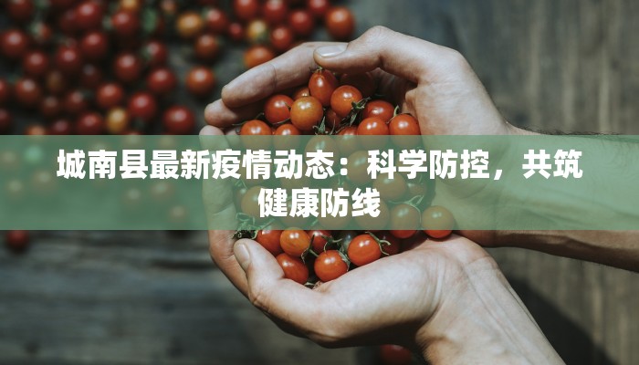 城南县最新疫情动态:科学防控,共筑健康防线 城南县最新疫情动态:科学防控,共筑健康防线