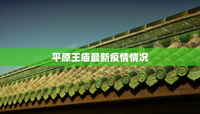 平原王庙最新疫情情况
