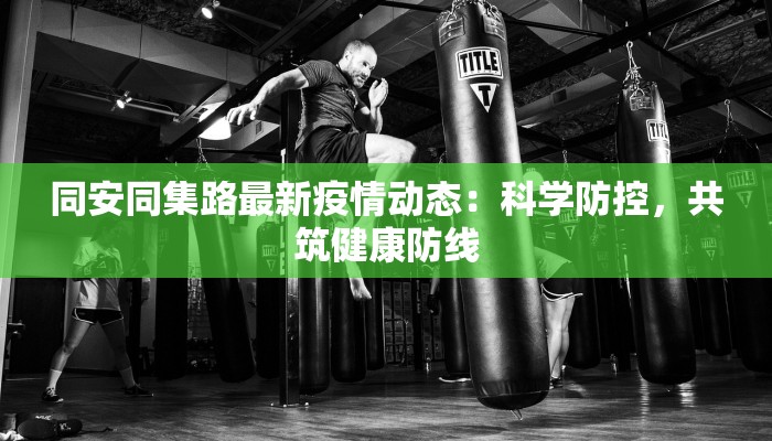 同安同集路最新疫情动态：科学防控，共筑健康防线