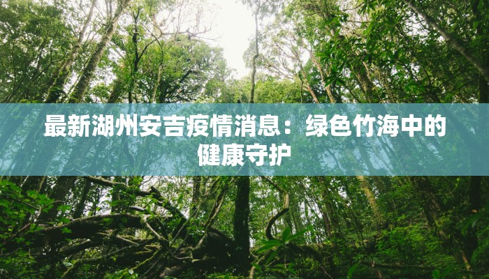最新湖州安吉疫情消息：绿色竹海中的健康守护