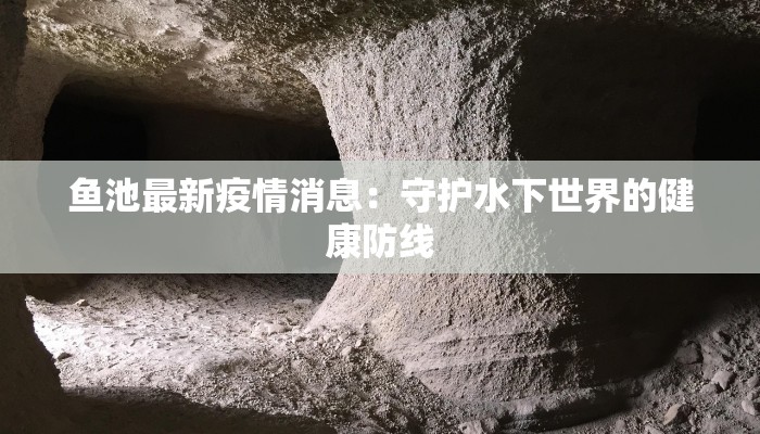 鱼池最新疫情消息：守护水下世界的健康防线