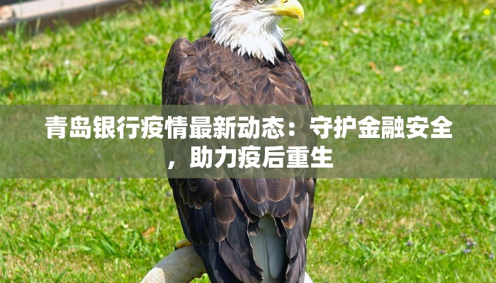 吉林马关最新疫情：守护健康，科学防控，共筑安全屏障