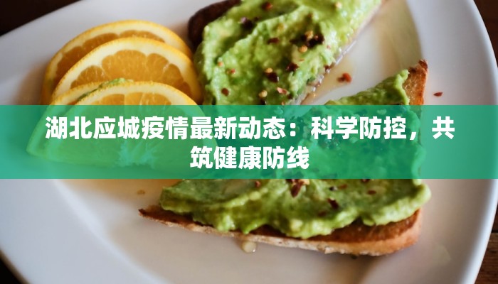 湖北应城疫情最新动态：科学防控，共筑健康防线