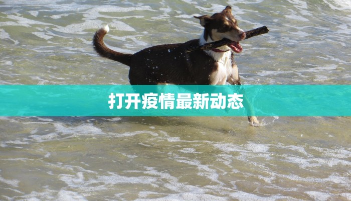 枫林南区最新通告疫情