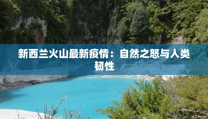 新西兰火山最新疫情：自然之怒与人类韧性