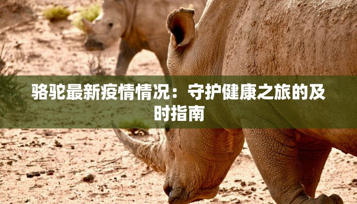 骆驼最新疫情情况:守护健康之旅的及时指南 骆驼最新疫情情况:守护健康之旅的及时指南