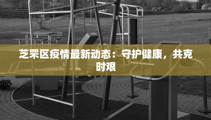 芝罘区疫情最新动态：守护健康，共克时艰